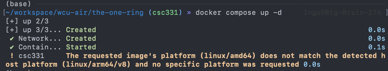 Screenshot of the terminal view inside csc331 container