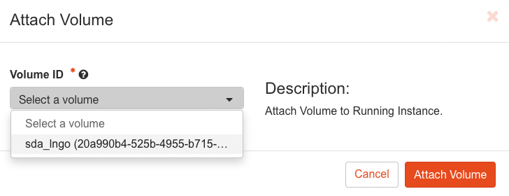 Attach volume